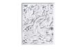 Merles et raisins head up decorative panel in clear crystal - Lalique